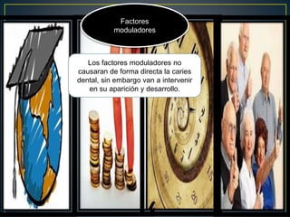 Los factores moduladores no
causaran de forma directa la caries
dental, sin embargo van a intervenir
en su aparición y desarrollo.
Factores
moduladores
 