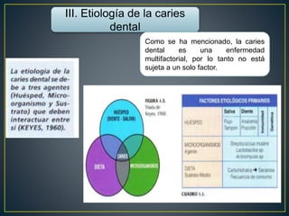 III. Etiología de la caries
dental
Como se ha mencionado, la caries
dental es una enfermedad
multifactorial, por lo tanto no está
sujeta a un solo factor.
 