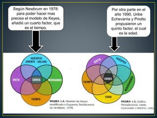 Según Newbrum en 1978:
para poder hacer mas
preciso el modelo de Keyes,
añadió un cuarto factor, que
es el tiempo.
Por otra parte en el
año 1990, Uribe
Echevarria y Priotto
propusieron un
quinto factor, el cual
es la edad.
 