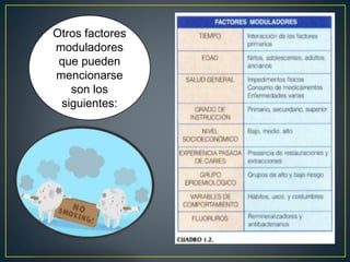 Otros factores
moduladores
que pueden
mencionarse
son los
siguientes:
 