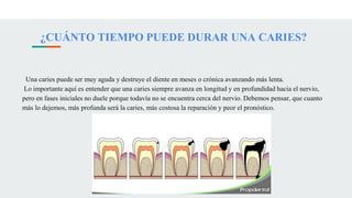 ¿CUÁNTO TIEMPO PUEDE DURAR UNA CARIES?
Una caries puede ser muy aguda y destruye el diente en meses o crónica avanzando más lenta.
Lo importante aquí es entender que una caries siempre avanza en longitud y en profundidad hacia el nervio,
pero en fases iniciales no duele porque todavía no se encuentra cerca del nervio. Debemos pensar, que cuanto
más lo dejemos, más profunda será la caries, más costosa la reparación y peor el pronóstico.
 
