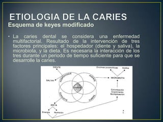 Esquema de keyes modificado
• La caries dental se considera una enfermedad
multifactorial. Resultado de la intervención de tres
factores principales: el hospedador (diente y saliva), la
microbiota, y la dieta. Es necesaria la interacción de los
tres durante un periodo de tiempo suficiente para que se
desarrolle la caries.
 