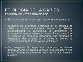 ESQUEMA DE KEYES MODIFICADO
• El hospedador es la persona que tiene la enfermedad.
• El diente es el órgano destruido en el proceso de
caries, y puede encontrarse dientes con distintas
susceptibilidad o resistencia a desarrollar la
enfermedad ante el mismo estimulo. En este sentido,
en flúor es un elemento importante que aumenta la
resistencia del esmalte a la caries y acelera la
remineralización de las lesiones incipientes.
• Con respecto al hospedador, además del diente,
deberá tenerse en cuenta la saliva, que constituye uno
de los factores de protección de más impacto frente a
la caries.
 