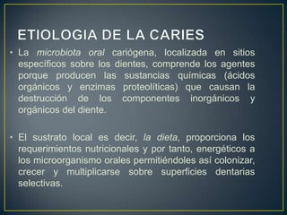 • La microbiota oral cariógena, localizada en sitios
específicos sobre los dientes, comprende los agentes
porque producen las sustancias químicas (ácidos
orgánicos y enzimas proteolíticas) que causan la
destrucción de los componentes inorgánicos y
orgánicos del diente.
• El sustrato local es decir, la dieta, proporciona los
requerimientos nutricionales y por tanto, energéticos a
los microorganismo orales permitiéndoles así colonizar,
crecer y multiplicarse sobre superficies dentarias
selectivas.
 