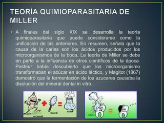 • A finales del siglo XIX se desarrolla la teoría
quimioparasitaria que puede considerarse como la
unificación de las anteriores. En resumen, señala que la
causa de la caries son los ácidos producidos por los
microorganismos de la boca. La teoría de Miller se debe
en parte a la influencia de otros científicos de la época.
Pasteur había descubierto que los microorganismo
transformaban el azúcar en ácido láctico, y Magitot (1867)
demostró que la fermentación de los azucares causaba la
disolución del mineral dental in vitro.
 