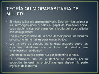 • El mismo Miller era alumno de Koch. Esto permitió asignar a
los microorganismos bucales el papel de formación ácida.
Las características esenciales de la teoría quimioparasitaria
son las siguientes:
• Los microorganismos de la boca descomponen los hidratos
de carbono fermentables para formar ácidos.
• Los hidratos de carbono de la dieta alojados sobre las
superficies dentarias son la fuente de ácidos que
desmineraliza los dientes.
• Diferentes bacterias orales invaden la dentina cariada.
• La destrucción final de la dentina se produce por la
secreción de enzimas proteolíticas que digieren la parte
orgánica de la misma.
 