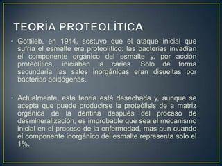 • Gottileb, en 1944, sostuvo que el ataque inicial que
sufría el esmalte era proteolítico: las bacterias invadían
el componente orgánico del esmalte y, por acción
proteolítica, iniciaban la caries. Solo de forma
secundaria las sales inorgánicas eran disueltas por
bacterias acidógenas.
• Actualmente, esta teoría está desechada y, aunque se
acepta que puede producirse la proteólisis de a matriz
orgánica de la dentina después del proceso de
desmineralización, es improbable que sea el mecanismo
inicial en el proceso de la enfermedad, mas aun cuando
el componente inorgánico del esmalte representa solo el
1%.
 