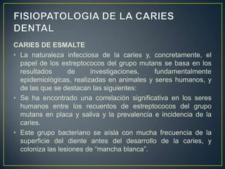 CARIES DE ESMALTE
• La naturaleza infecciosa de la caries y, concretamente, el
papel de los estreptococos del grupo mutans se basa en los
resultados de investigaciones, fundamentalmente
epidemiológicas, realizadas en animales y seres humanos, y
de las que se destacan las siguientes:
• Se ha encontrado una correlación significativa en los seres
humanos entre los recuentos de estreptococos del grupo
mutans en placa y saliva y la prevalencia e incidencia de la
caries.
• Este grupo bacteriano se aísla con mucha frecuencia de la
superficie del diente antes del desarrollo de la caries, y
coloniza las lesiones de “mancha blanca”.
 
