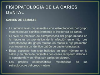 CARIES DE ESMALTE
• La inmunización de animales con estreptococos del grupo
mutans reduce significativamente la incidencia de caries.
• El nivel de infección de estreptococos del grupo mutans en
la madre es un pronóstico de la infección en el hijo. Los
estreptococos del grupo mutans en madre e hijo presentan
con frecuencia un idéntico patrón de bacteriocinopatía.
• Estas especies han sido halladas en gran número en la
saliva y en placa de pacientes con caries rampante debida a
la xerostomía y en niños con caries de biberón.
• Las propias características metabólicas de los
estreptococos del grupo mutans.
 