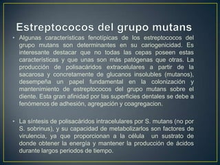 • Algunas características fenotípicas de los estreptococos del
grupo mutans son determinantes en su cariogenicidad. Es
interesante destacar que no todas las cepas poseen estas
características y que unas son más patógenas que otras. La
producción de polisacáridos extracelulares a partir de la
sacarosa y concretamente de glucanos insolubles (mutanos),
desempeña un papel fundamental en la colonización y
mantenimiento de estreptococos del grupo mutans sobre el
diente. Esta gran afinidad por las superficies dentales se debe a
fenómenos de adhesión, agregación y coagregacion.
• La síntesis de polisacáridos intracelulares por S. mutans (no por
S. sobrinus), y su capacidad de metabolizarlos son factores de
virulencia, ya que proporcionan a la célula un sustrato de
donde obtener la energía y mantener la producción de ácidos
durante largos periodos de tiempo.
 