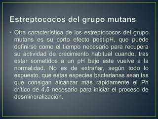 • Otra característica de los estreptococos del grupo
mutans es su corto efecto post-pH, que puede
definirse como el tiempo necesario para recupera
su actividad de crecimiento habitual cuando, tras
estar sometidos a un pH bajo este vuelve a la
normalidad. No es de extrañar, según todo lo
expuesto, que estas especies bacterianas sean las
que consigan alcanzar más rápidamente el Ph
crítico de 4,5 necesario para iniciar el proceso de
desmineralización.
 