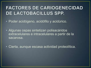 • Poder acidógeno, acidófilo y acidúrico.
• Algunas cepas sintetizan polisacáridos
extracelulares e intracelulares a partir de la
sacarosa.
• Cierta, aunque escasa actividad proteolítica.
 