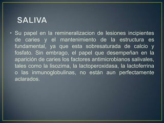 • Su papel en la remineralizacion de lesiones incipientes
de caries y el mantenimiento de la estructura es
fundamental, ya que esta sobresaturada de calcio y
fosfato. Sin embrago, el papel que desempeñan en la
aparición de caries los factores antimicrobianos salivales,
tales como la lisozima, la lactoperoxidasa, la lactoferrina
o las inmunoglobulinas, no están aun perfectamente
aclarados.
 