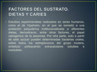• Estudios experimentales realizados en seres humanos,
como el de Vipeholm, en el que se sometió a una
población psiquiátrica institucionalizada a diferentes
dietas, demostraron, entre otros factores, el papel
cariogenico de la sacarosa. Por otra parte, solo a partir
de este azúcar pueden determinadas bacterias orales,
sobre todos los estreptococos del grupo mutans,
sintetizar polisacárido extracelulares solubles e
insolubles.
 