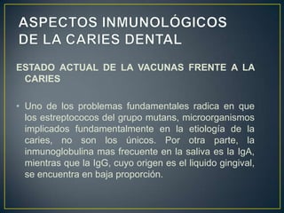ESTADO ACTUAL DE LA VACUNAS FRENTE A LA
CARIES
• Uno de los problemas fundamentales radica en que
los estreptococos del grupo mutans, microorganismos
implicados fundamentalmente en la etiología de la
caries, no son los únicos. Por otra parte, la
inmunoglobulina mas frecuente en la saliva es la IgA,
mientras que la IgG, cuyo origen es el liquido gingival,
se encuentra en baja proporción.
 