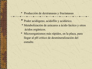 *  Producción de dextranasas y fructanasas *  Poder acidógeno, acidofilo y acidúrico. * Metabolización de azúcares a ácido láctico y otros ácidos orgánicos. *  Microorganismos más rápidos, en la placa, para  llegar al pH crítico de desmineralización del esmalte. 