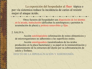 La exposición del hospedador al  fluor  tópica o por vía sistemica reduce la incidencia de caries al resistir mejor el ataque ácido. Otros factores del hospedador son  disposición dc los dientes en la arcada, maloclusión  (dificultan la autolimpieza y permiten la acumulación de placa) y  prótesis removibles  y  fijas. 2. SALIVA Acción  autolimpiadora  (eliminación de restos alimenticios y de microorganismos no adherentes a las superficies orales. Acción  amortiguadora  (neutralizadora de los ácidos producidos en la placa bacteriana) y su papel en la remineralización y mantenimiento de la estructura del diente por su sobresaturación de calcio y fosfatos. EFECTO DE LA HIPOSALIVACIÓN Y XEROSTOMÍA 
