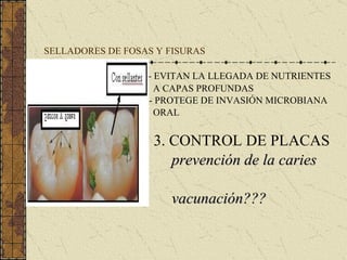 SELLADORES DE FOSAS Y FISURAS -- EVITAN LA LLEGADA DE NUTRIENTES A CAPAS PROFUNDAS -- PROTEGE DE INVASIÓN MICROBIANA ORAL 3. CONTROL DE PLACAS prevención de la caries vacunación??? 