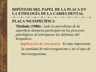 HIPÓTESIS DEL PAPEL DE LA PLACA EN LA ETIOLOGÍA DE LA CARIES DENTAL PLACA NO ESPECÍFICA Theilade (1986) :  toda la microbiota de la superficie dentaria participan en los procesos patológicos al sobrepasar las defensas del hospedero. Implicación de esta teoría :  Es más importante la cantidad de microorganismo y no el tipo de  microorganismo.  
