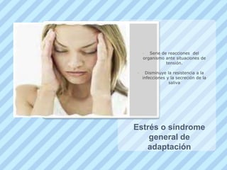 Funcionamiento endocrino