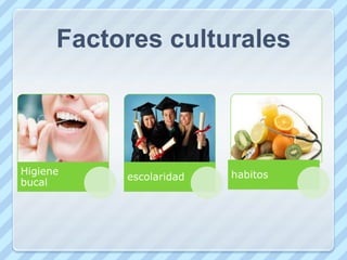 Factores socio economicos