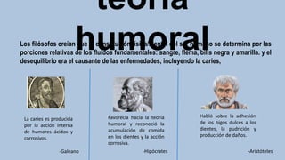 teoría
humoral
Los filósofos creían que la constitución física/mental del ser humano se determina por las
porciones relativas de los fluidos fundamentales: sangre, flema, bilis negra y amarilla. y el
desequilibrio era el causante de las enfermedades, incluyendo la caries,
La caries es producida
por la acción interna
de humores ácidos y
corrosivos.
-Galeano -Hipócrates -Aristóteles
Favorecía hacia la teoría
humoral y reconoció la
acumulación de comida
en los dientes y la acción
corrosiva.
Habló sobre la adhesión
de los higos dulces a los
dientes, la pudrición y
producción de daños.
 
