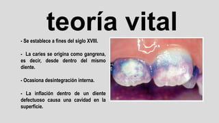 teoría vital
- Se establece a fines del siglo XVIII.
- La caries se origina como gangrena,
es decir, desde dentro del mismo
diente.
- Ocasiona desintegración interna.
- La inflación dentro de un diente
defectuoso causa una cavidad en la
superficie.
 