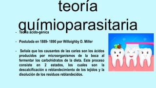 teoría
químioparasitaria
- Teoría ácido-génica
- Postulada en 1889- 1890 por Willoighby D. Miller
- Señala que los causantes de las caries son los ácidos
producidos por microorganismos de la boca al
fermentar los carbohidratos de la dieta. Este proceso
consiste en 2 estados, los cuales son la
descalcificación o reblandecimiento de los tejidos y la
disolución de los residuos reblandecidos.
 