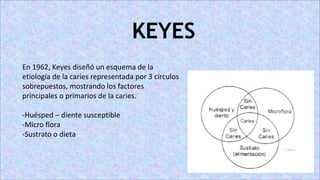 KEYES
En 1962, Keyes diseñó un esquema de la
etiología de la caries representada por 3 círculos
sobrepuestos, mostrando los factores
principales o primarios de la caries.
-Huésped – diente susceptible
-Micro flora
-Sustrato o dieta
 