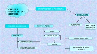 CARIES A
TRAVÉS DE LA
HISTORIA.
PRESENTE DESDE LA PREHISTORIA
BAJO IMPACTO
POBLACIÓN AFECCIÓN Y
SEVERIDAD
PROCESO CIVILIZATORIO NUEVOS HÁBITOS
CRECIENTE
VIDA
ALIMENTICIOS
URBANIZACIÓN
INDUSTRIALIZACIÓN
CARIES
MAYOR MOLESTIA
PROBLEMA DE SALUD
PÚBLICA
 