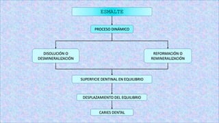 ESMALTE
PROCESO DINÁMICO
DISOLUCIÓN O
DESMINERALIZACIÓN
REFORMACIÓN O
REMINERALIZACIÓN
SUPERFICIE DENTINAL EN EQUILIBRIO
DESPLAZAMIENTO DEL EQUILIBRIO
CARIES DENTAL
 