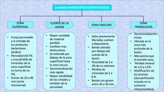 CAMBIOS MICROSCÓPICOS/HISTOLÓGICOS
ZONA
SUPERFICIAL
CUERPO DE LA
LESION
ZONA OBSCURA
ZONA
TRANSLUCIDA
• Franja permeable
a la entrada de
los productos
bacterianos
(ácidos)
• Porosidad del 5%
y una pérdida de
minerales de la
zona superficial
en torno de un
5%.
• Grosor de 20 a 40
mm (corte
transversal)
• Mayor cantidad
de material
perdido.
• Cambios mas
destructivos.
• Se extiende por
debajo de la zona
superficial hasta
la zona oscura.
• Desmineralización
más rápida
• Mayor solubilidad
de los cristales y
también de la
porosidad.
• Sales previamente
liberadas vuelven
a depositarse.
• Banda ubicada
por debajo del
cuerpo de la
lesión.
• Porosidad de 2 a
4% de su volumen
• Pérdida de
minerales de 5 a
8 %.
• Banda con grosor
entre 20 y 30 mm.
• Desmineralización
inicial.
• Ubicada en la
zona más
profunda de la
lesión.
• Más porosa que
el esmalte sano.
• Pérdida mineral
de 1,0 a 1,5%.
• Modificación de
los prismas
(descalcificación
iniciada en la
sustancia
interprismática)
 