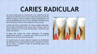 CARIES RADICULAR
• Las caries radiculares se encuentran en la superficie de las
raíces de los dientes. Ocurren con mayor frecuencia entre los
adultos mayores. Este es también el grupo demográfico con
más probabilidades de tener encías retraídas (Principal causa
de este tipo de caries) y otros trastornos de las encías.
• Cuando las encías retroceden, las raíces quedan expuestas.
Eso las deja vulnerables a las caries. Esto se debe a que no
están cubiertas por el mismo esmalte duro y protector que
tienen los dientes.
• El daño que causan las caries radiculares se propaga
rápidamente porque el cemento que cubre la raíz de un
diente no es tan duro como el esmalte.
• En muchos casos, la caries radicular requiere un tratamiento
de endodoncia que insensibilice la pieza “matando el nervio”
de sus raíces o, cuando el daño es demasiado grave, una
extracción dental.
 