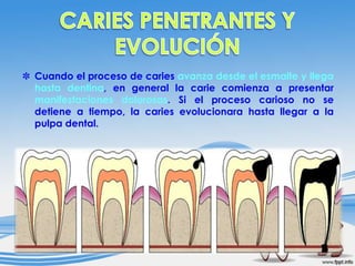 ✽ Cuando el proceso de caries avanza desde el esmalte y llega
hasta dentina, en general la carie comienza a presentar
manifestaciones dolorosas. Si el proceso carioso no se
detiene a tiempo, la caries evolucionara hasta llegar a la
pulpa dental.

 