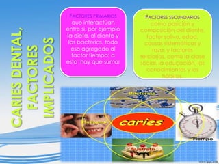 FACTORES PRIMARIOS
que interactúan
entre si, por ejemplo
la dieta, el diente y
las bacterias, todo
eso agregado al
factor tiempo; a
esto hay que sumar

FACTORES SECUNDARIOS
como posición y
composición del diente,
factor saliva, edad,
causas sistemáticas y
raza; y factores
terciarios, como la clase
social, la educación, los
conocimientos y los
hábitos.

 