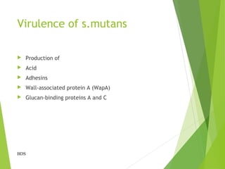 Virulence of s.mutans
 Production of
 Acid
 Adhesins
 Wall-associated protein A (WapA)
 Glucan-binding proteins A and C
BDS
 