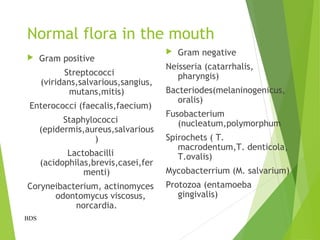 Normal flora in the mouth
 Gram positive
Streptococci
(viridans,salvarious,sangius,
mutans,mitis)
Enterococci (faecalis,faecium)
Staphylococci
(epidermis,aureus,salvarious
)
Lactobacilli
(acidophilas,brevis,casei,fer
menti)
Coryneibacterium, actinomyces
odontomycus viscosus,
norcardia.
 Gram negative
Neisseria (catarrhalis,
pharyngis)
Bacteriodes(melaninogenicus,
oralis)
Fusobacterium
(nucleatum,polymorphum
Spirochets ( T.
macrodentum,T. denticola,
T.ovalis)
Mycobacterrium (M. salvarium)
Protozoa (entamoeba
gingivalis)
BDS
 