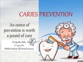 Dr.MadhuBilla
II MDS
CARIES PREVENTION
Dr.Madhu Billa
2nd year PG
SIBAR Institute Of Dental Sciences
 