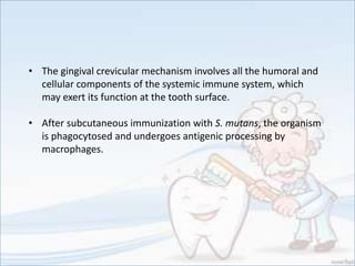 • The gingival crevicular mechanism involves all the humoral and
cellular components of the systemic immune system, which
may exert its function at the tooth surface.
• After subcutaneous immunization with S. mutans, the organism
is phagocytosed and undergoes antigenic processing by
macrophages.
 
