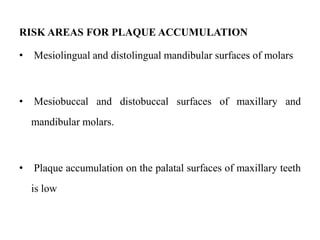 RISK AREAS FOR PLAQUE ACCUMULATION
• Mesiolingual and distolingual mandibular surfaces of molars
• Mesiobuccal and distobuccal surfaces of maxillary and
mandibular molars.
• Plaque accumulation on the palatal surfaces of maxillary teeth
is low
 
