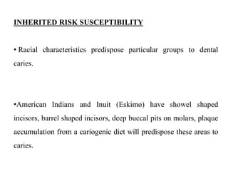 INHERITED RISK SUSCEPTIBILITY
• Racial characteristics predispose particular groups to dental
caries.
•American Indians and Inuit (Eskimo) have showel shaped
incisors, barrel shaped incisors, deep buccal pits on molars, plaque
accumulation from a cariogenic diet will predispose these areas to
caries.
 