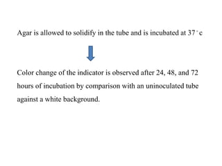 Agar is allowed to solidify in the tube and is incubated at 37 ◦ c
Color change of the indicator is observed after 24, 48, and 72
hours of incubation by comparison with an uninoculated tube
against a white background.
 