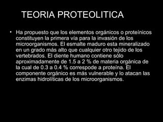 Ha propuesto que los elementos orgánicos o proteínicos constituyen la primera vía para la invasión de los microorganismos. El esmalte maduro esta mineralizado en un grado más alto que cualquier otro tejido de los vertebrados. El diente humano contiene sólo aproximadamente de 1.5 a 2 % de materia orgánica de la cual de 0.3 a 0.4 % correspode a proteína. El componente orgánico es más vulnerable y lo atacan las enzimas hidrolíticas de los microorganismos. TEORIA PROTEOLITICA 