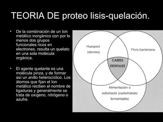 TEORIA DE proteo lisis-quelación.  De la combinación de un Ion metálico inorgánico con por lo menos dos grupos funcionales ricos en electrones, resulta un quelato en una sola molécula orgánica.  El agente quelante es una molécula pinza, y de formar así un anillo heterocíclico. Los átomos que fijan el Ion metálico reciben el nombre de ligaduras y generalmente se trata de oxígeno, nitrógeno o azufre.  