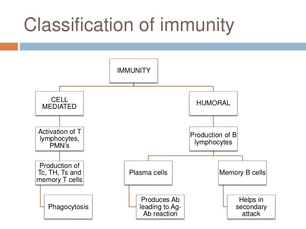 Caries Vaccine Ppt