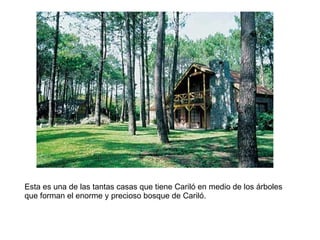 Esta es una de las tantas casas que tiene Cariló en medio de los árboles que forman el enorme y precioso bosque de Cariló. 