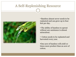 A Self-Replenishing Resource 
• Bamboo almost never needs to be 
replanted and can grow up to four 
feet per day. 
• The ability of bamboo to sprout 
without any assistance is almost 
miraculous. 
• Cotton needs to be replanted and 
harvested every year. 
•One acre of bamboo will yield 10 
times more product than an acre of 
cotton. 
 