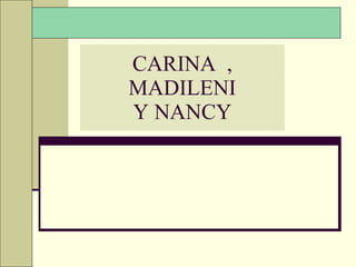 CARINA  , MADILENI Y NANCY 