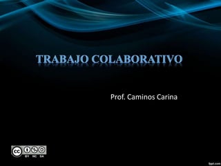 Prof. Caminos Carina
 