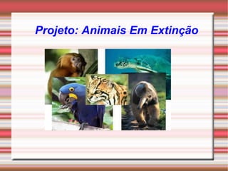 Projeto: Animais Em Extinção 